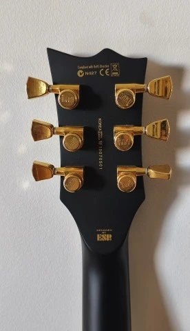 ESP LTD EC-1000