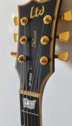 ESP LTD EC-1000