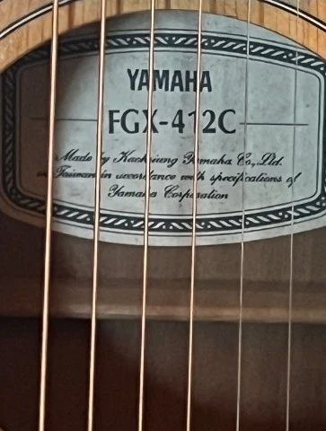 Yamaha FGX