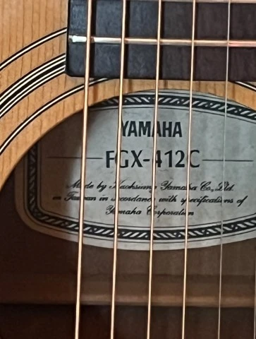Yamaha FGX