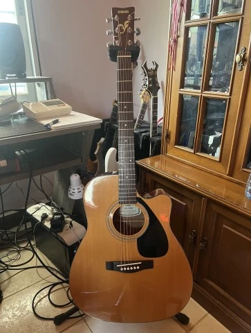 Yamaha FGX
