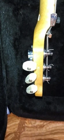 EVH Wolfgang Special
