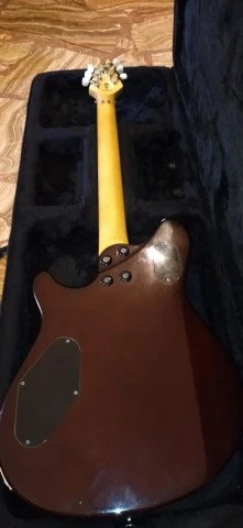 EVH Wolfgang Special