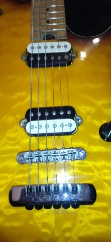 EVH Wolfgang Special