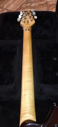 EVH Wolfgang Special