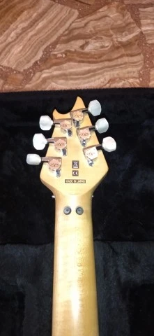 EVH Wolfgang Special