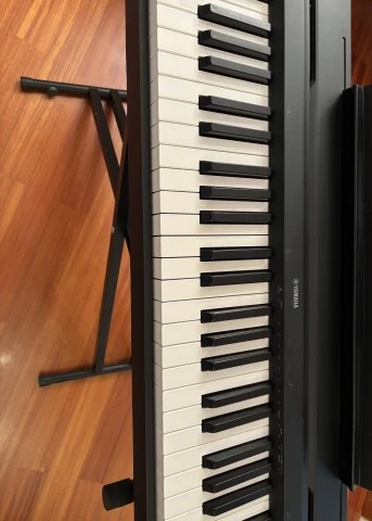 Yamaha P-45