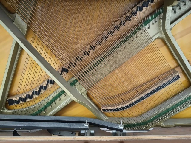 Ibach