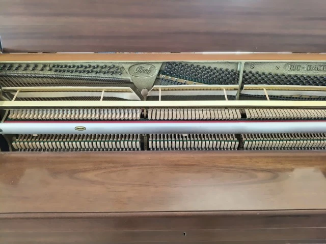 Ibach
