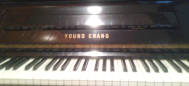 Young Chang U-121