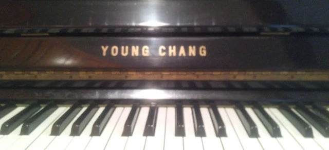 Young Chang U-121