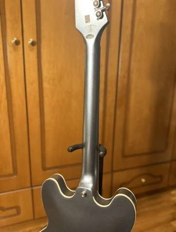 Epiphone DG-335