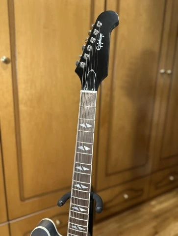Epiphone DG-335