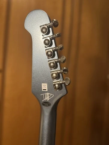 Epiphone DG-335