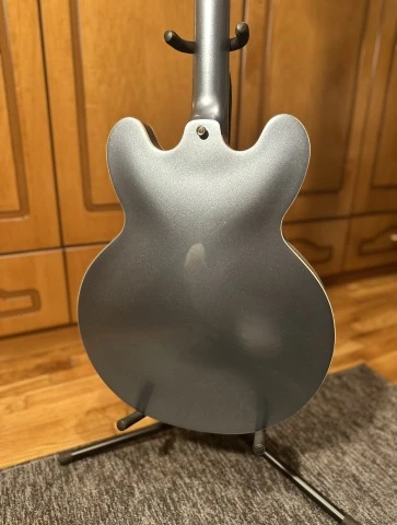 Epiphone DG-335
