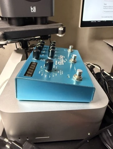 Strymon BigSky