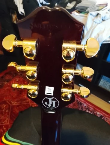 Epiphone Jerry Cantrell Wino Custom