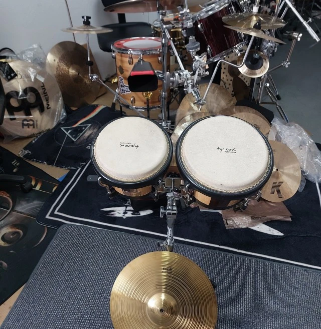 Tycoon bongos ARTIST SERIES