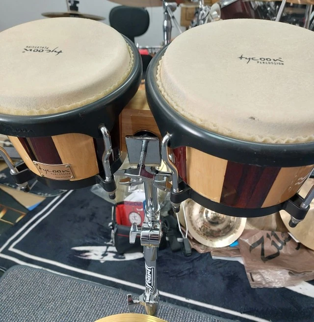 Tycoon bongos ARTIST SERIES