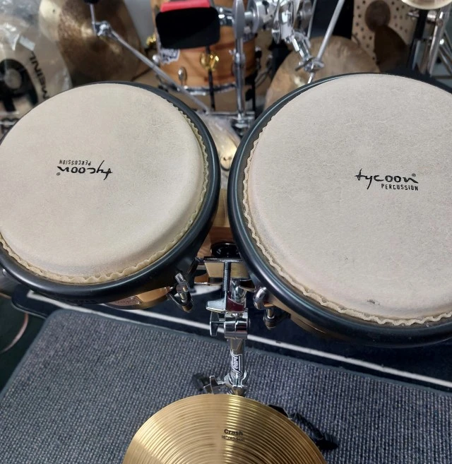 Tycoon bongos ARTIST SERIES