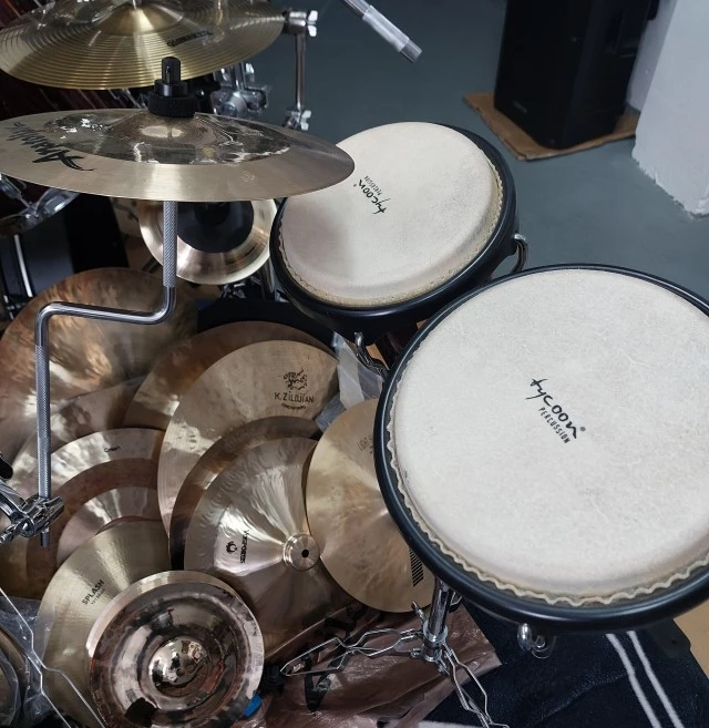 Tycoon bongos ARTIST SERIES