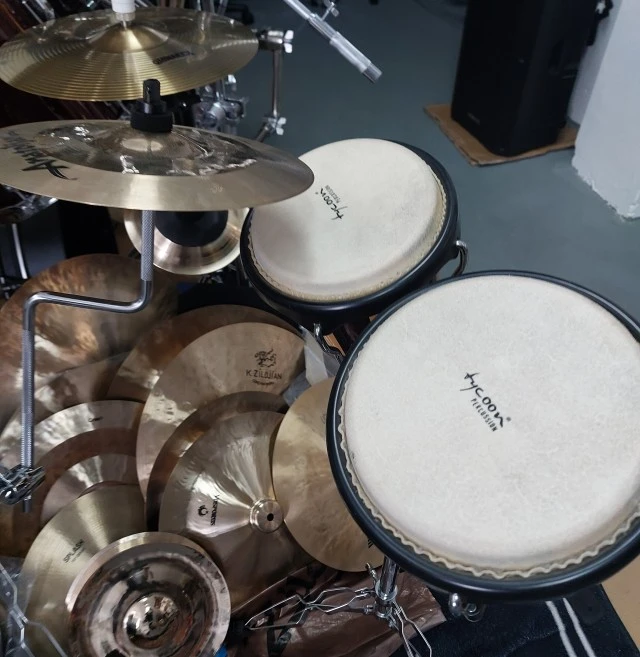 Tycoon bongos ARTIST SERIES
