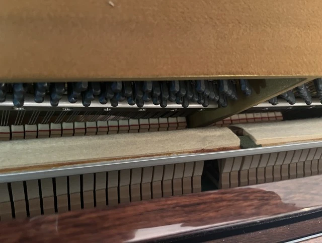 Yamaha C108
