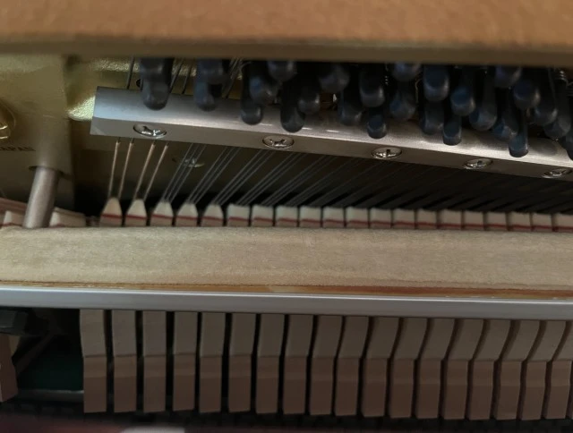 Yamaha C108