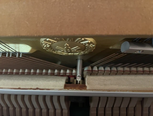Yamaha C108