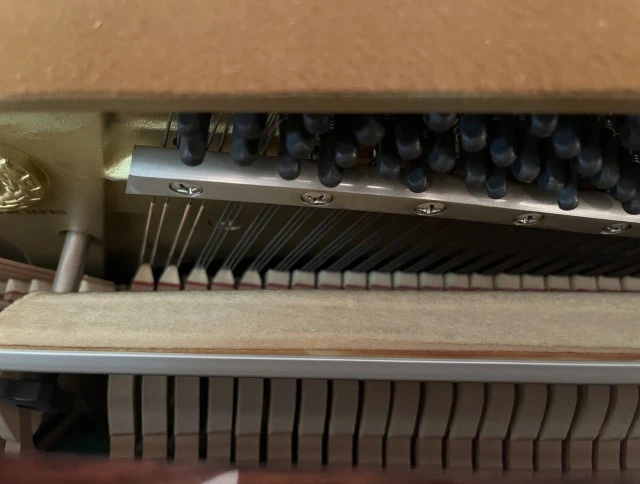 Yamaha C108