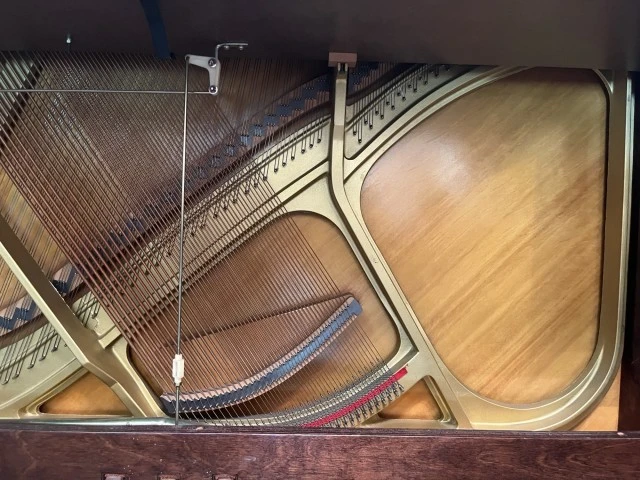 Yamaha C108