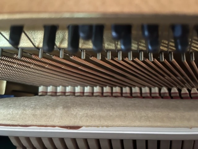 Yamaha C108