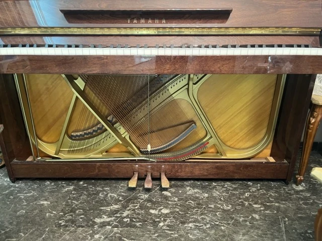 Yamaha C108