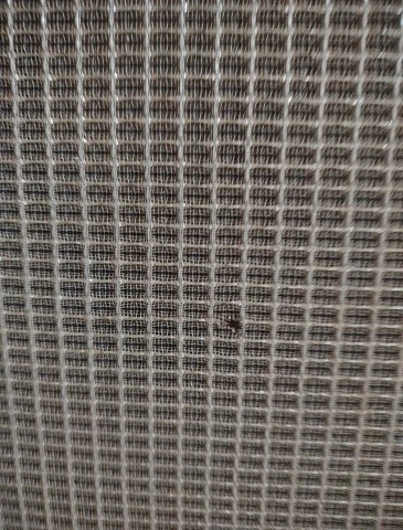 Fender Concert 4x10 80's , Paul Rivera