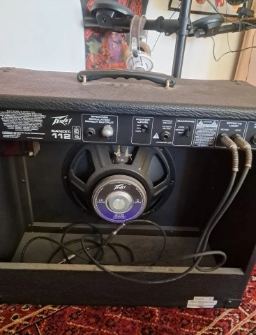 Peavey Bandit 112