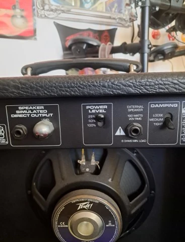 Peavey Bandit 112