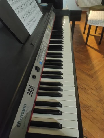 Thomann DP-30