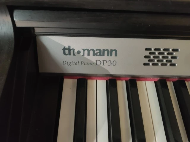 Thomann DP-30