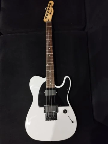 Fender Jim Root Telecaster Copy