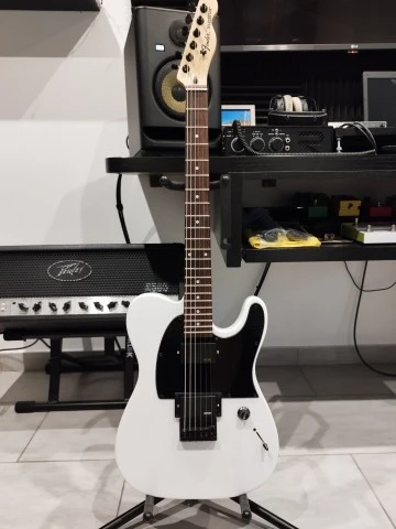 Fender Jim Root Telecaster Copy
