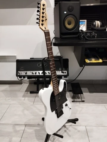 Fender Jim Root Telecaster Copy