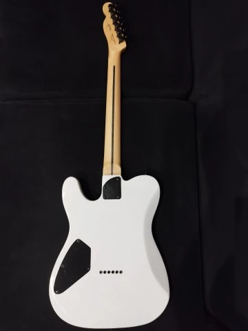 Fender Jim Root Telecaster Copy