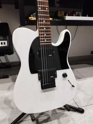Fender Jim Root Telecaster Copy