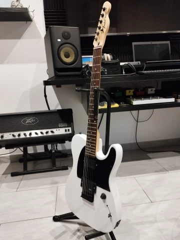 Fender Jim Root Telecaster Copy