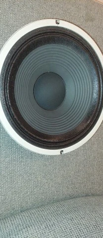 Celestion ipwich G12T-100 "Hot 100"