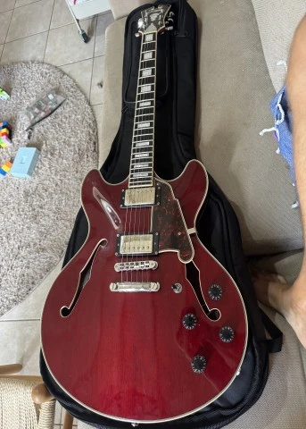 D'Angelico Premier DC