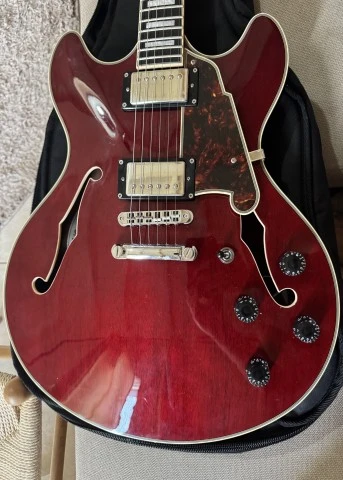 D'Angelico Premier DC