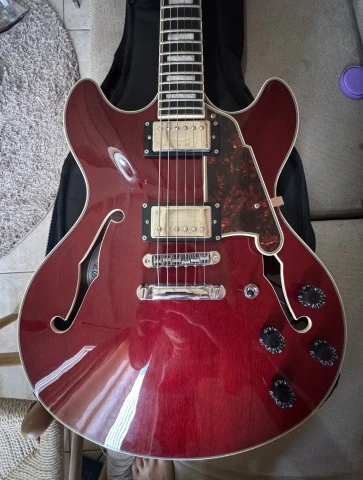 D'Angelico Premier DC