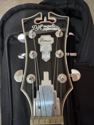 D'Angelico Premier DC