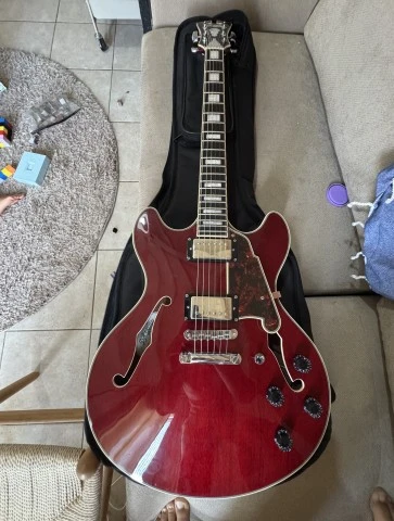D'Angelico Premier DC